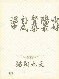 温补肾阳吃什么中成药最好?