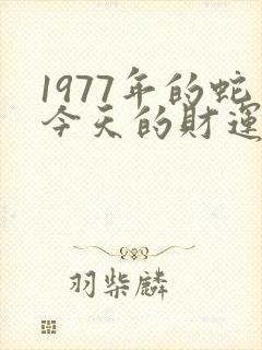 1977年的蛇今天的财运如何