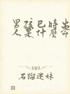 男孩巳时出生的人是什么命