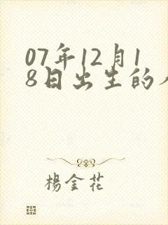 07年12月18日出生的人命运封面