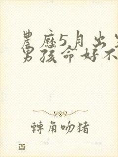 农历5月出生的男孩命好不好