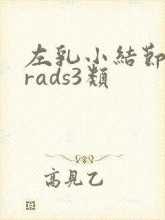 左乳小结节birads3类