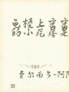 龟棱上密密麻麻的小疙瘩是什么