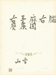 右手麻右脑晕什么原因