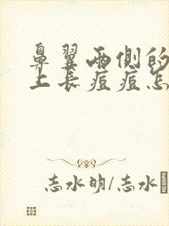 鼻翼两侧的脸颊上长痘痘怎么办