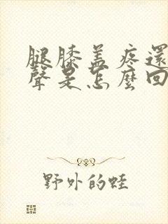 腿膝盖疼还有响声是怎么回事