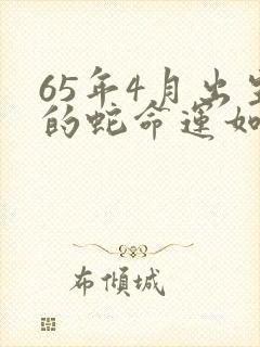 65年4月出生的蛇命运如何