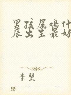 男孩属鸡什么时辰出生最好