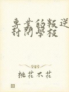 专业的叛逆孩子封闭学校