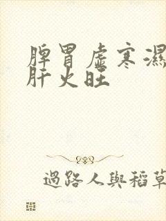 脾胃虚寒湿气重肝火旺