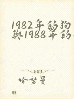 1982年的狗与1988年的龙相配吗封面