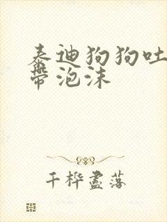 泰迪狗狗吐黄水带泡沫