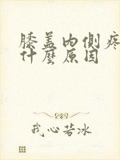 膝盖内侧疼痛是什么原因