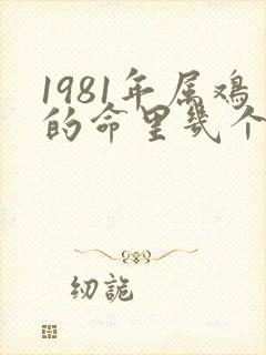 1981年属鸡的命里几个孩子