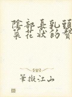 阴部长乳头状或菜花状的赘生物