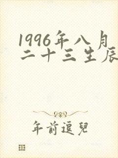 1996年八月二十三生辰是什么命