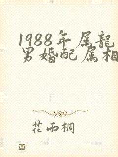 1988年属龙男婚配属相