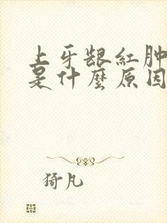 上牙龈红肿出血是什么原因