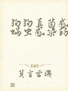 狗狗真菌感染和螨虫感染的区别