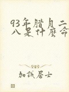 93年腊月二十八是什么命