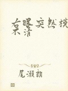 右眼突然模糊看不清封面