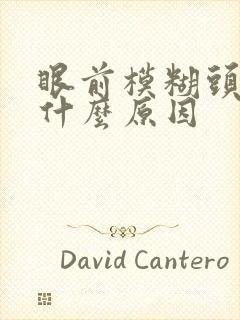 眼前模糊头晕是什么原因封面