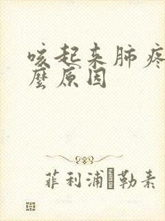 咳起来肺疼是什么原因