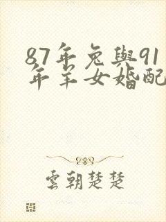 87年兔与91年羊女婚配