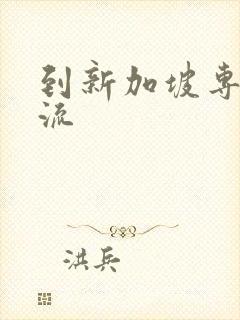 到新加坡专线物流