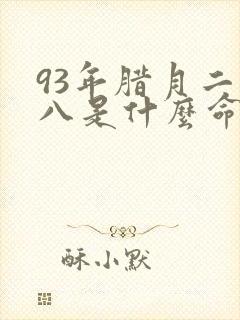 93年腊月二十八是什么命