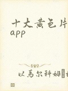 十大黄色片软件app