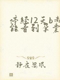 停经12天b超能看到孕囊吗