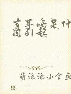 有耳鸣是什么原因引起