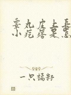 睾丸皮上长一个小疙瘩是怎么回事