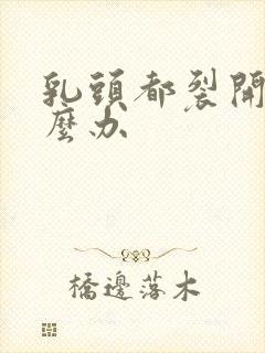 乳头都裂开了怎么办封面