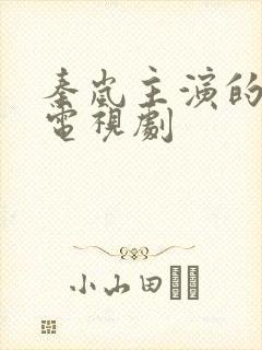 秦岚主演的最新电视剧