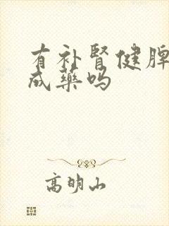 有补肾健脾的中成药吗封面