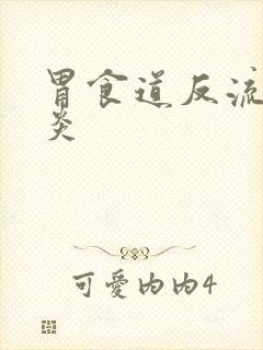 胃食道反流性胃炎