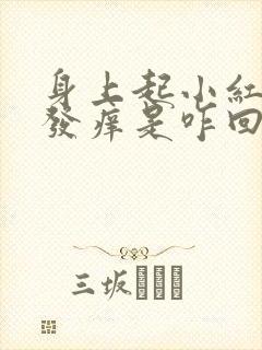 身上起小红疹子发痒是咋回事