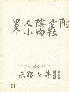 男人阴囊附近长个小肉粒