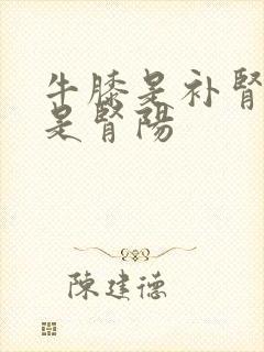 牛膝是补肾阴还是肾阳