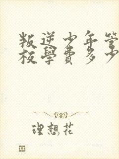 叛逆少年管教学校学费多少钱封面