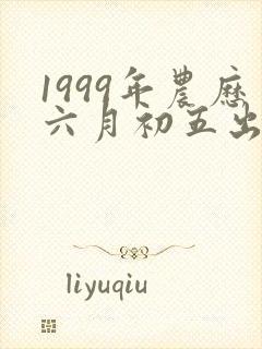 1999年农历六月初五出生是什么命