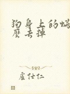 狗身上的螨虫怎么去掉