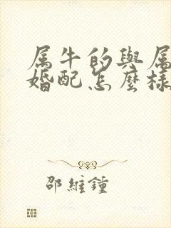 属牛的与属马的婚配怎么样