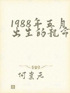 1988年五月出生的龙命运