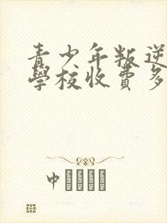 青少年叛逆特训学校收费多少封面