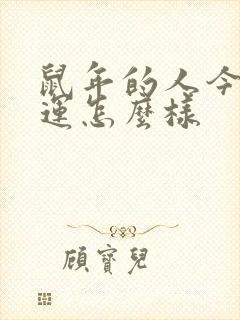 鼠年的人今年财运怎么样