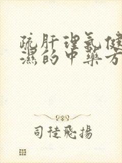 疏肝理气健脾祛湿的中药方剂