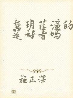 龚玥菲演的潘金莲好看吗